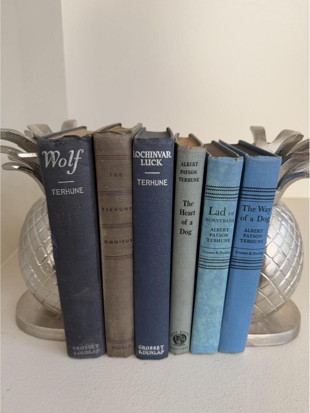 Vintage Set Of 6 Albert Payson Terhune Hardback Books Dog Stories